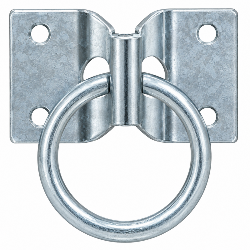 Toledo Hitching Ring with Plate