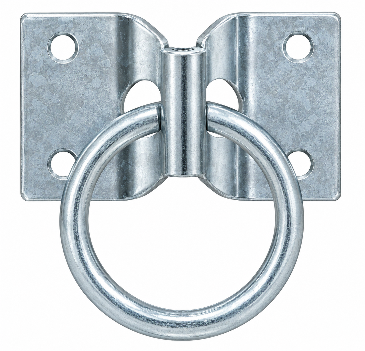 Toledo Hitching Ring with Plate
